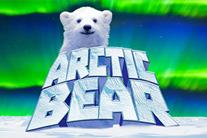 arctic-bear